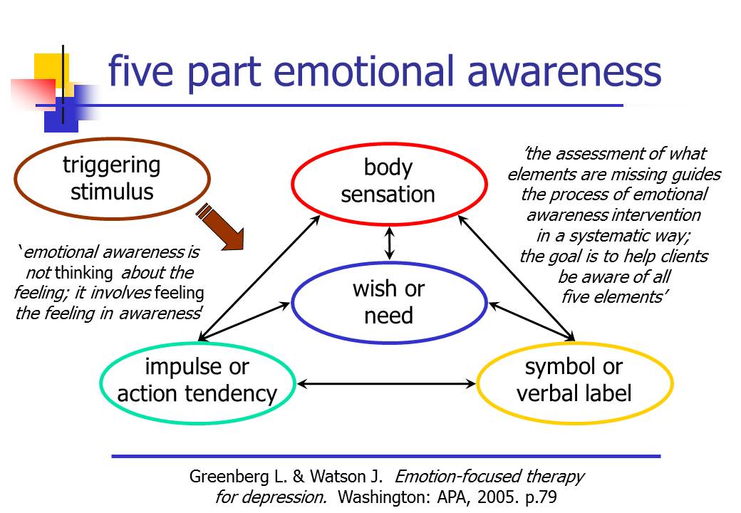 Emotions, 5 part awareness